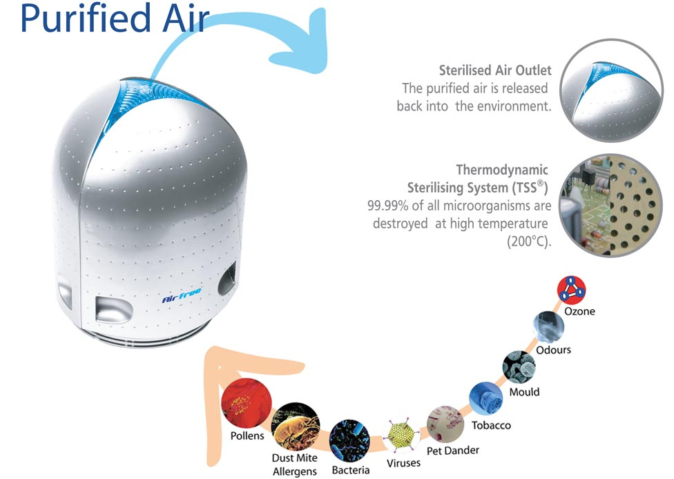 Airfree Air Purification - Roadelectric
